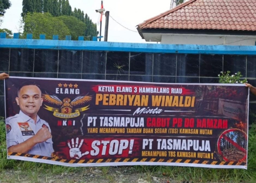 Elang 3 Hambalang Riau Minta PT Tasma Puja Cabut PB DO Hamzah, Diduga TBS Sawit dari Kawasan Hutan di Kampar