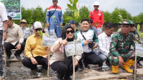 Hari Mangrove Sedunia 2026, Program M4CR Rehabilitasi 13 Hektare Mangrove di Bengkalis