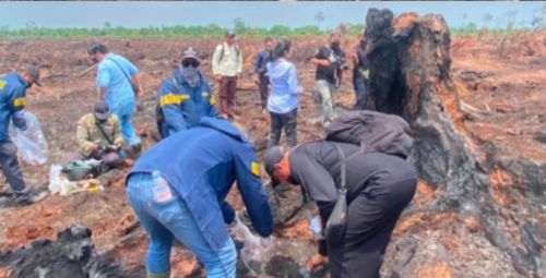 Karhutla di HGU PT TKWL Bengkalis, Polda Riau Libatkan 5 Ahli