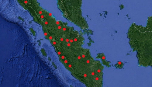 733 Titik Panas Di Sumatera: 69 Hotspot Terdeteksi Di Riau, Sebagian Besar Di Pelalawan