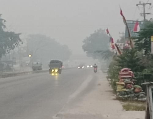 Kasus ISPA Meningkat di Rohul, Warga Diminta Waspadai Dampak Kabut Asap