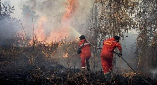 2.671 Hotspot Terdeteksi di Sumatra, Sumsel Tertinggi dan Riau Capai 234 Titik