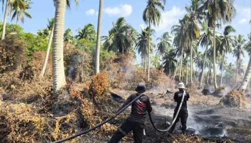 Karhutla Riau 2026 Tembus 19.058 Hektare, Bengkalis dan Pelalawan Terparah