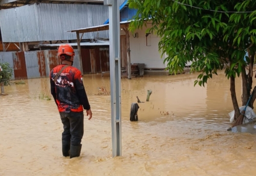 BNPB Catat Banjir dan Karhutla di Sejumlah Wilayah Indonesia