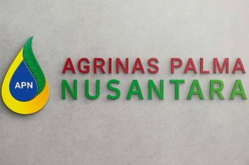 Agrinas Palma Nusantara Panggil dan Evaluasi 20 Perusahaan Mitra KSO Sawit di Riau, Bermasalah ?
