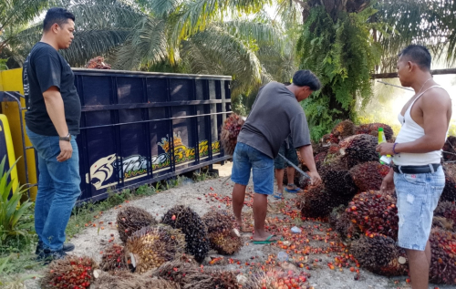 Elang 3 Hambalang Minta Ditreskrimsus Polda Riau Tangkap Hamzah dan Tumpas Mafia Peron Sawit di Kampar