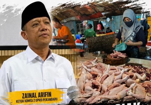 Bukan Hanya Di Siak, Harga Ayam Di Pekanbaru Tembus Rp47 Ribu, DPRD Desak Pemko Investigasi