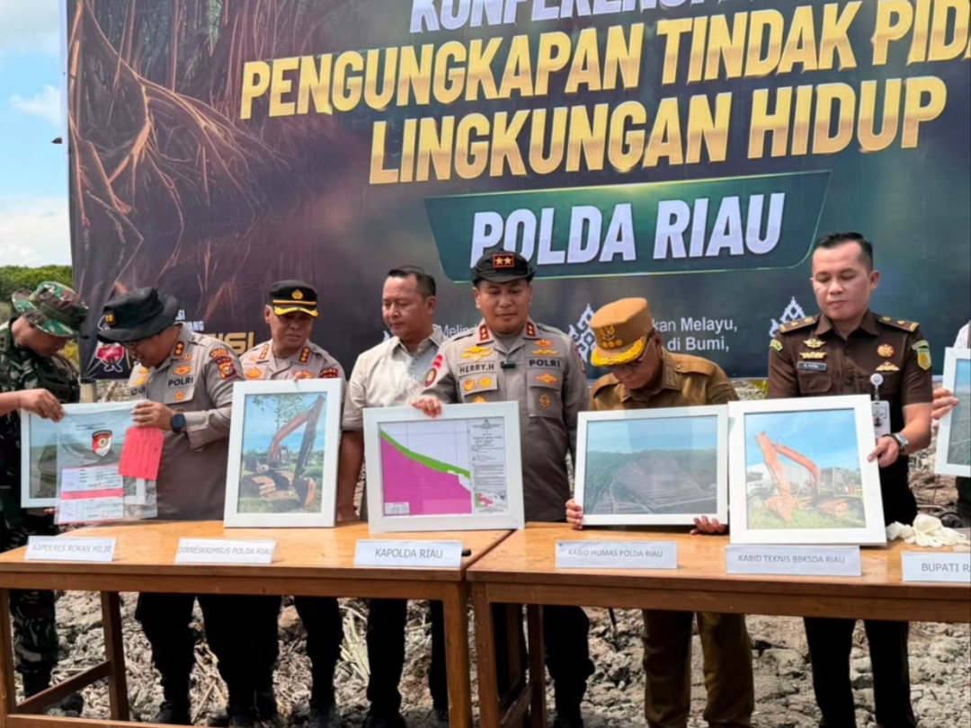 Polda Riau Tetapkan Dua Tersangka Perusakan Hutan Mangrove di Rohil, 118 Hektare Dirambah