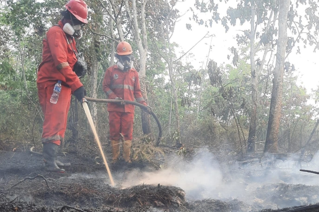 Karhutla Kalimantan, 12.880 Personel Dikerahkan di Tiga Provinsi