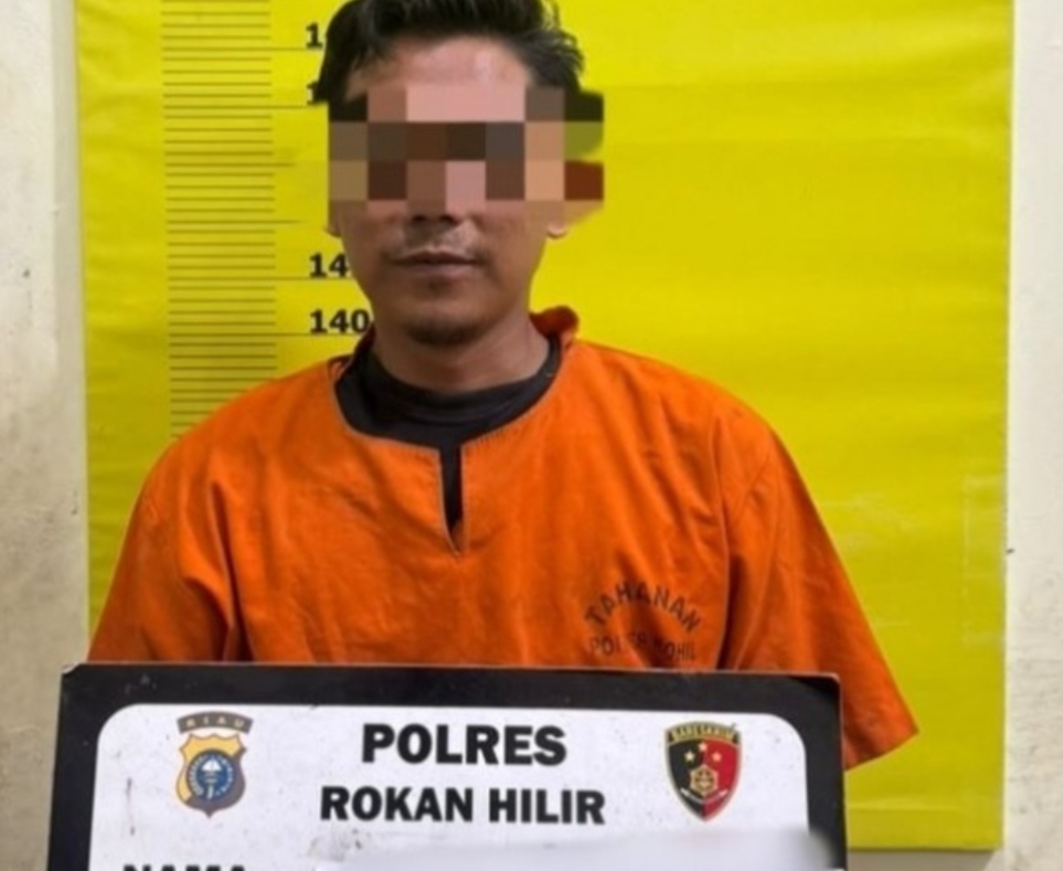 Kasus Pembukaan Lahan 3 Hektare, Penghulu Teluk Piyai Jadi Tersangka