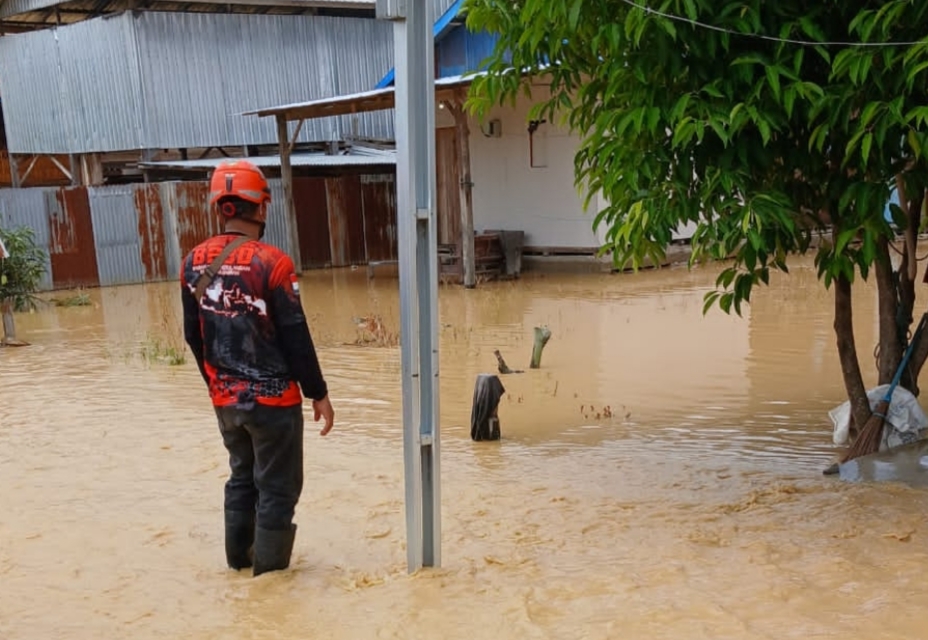 BNPB Catat Banjir dan Karhutla di Sejumlah Wilayah Indonesia
