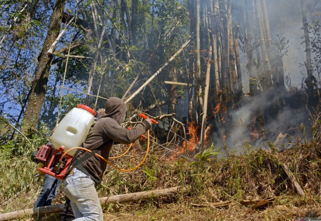 Karhutla Terjadi di Sejumlah Daerah, BNPB Catat Lahan Terbakar hingga 30 Hektare