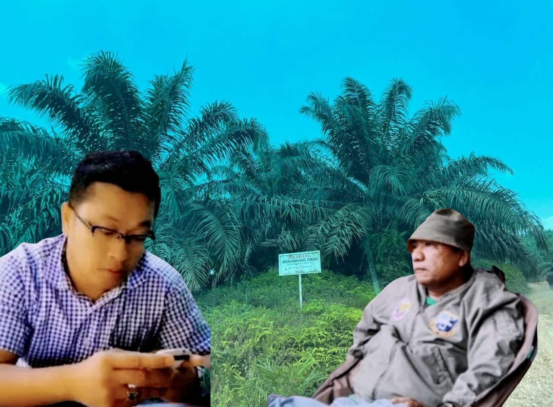 Ribuan Hektar Hutan di Kampar Kiri Disulap Jadi Kebun Sawit, Masyarakat Minta Aparat Hukum Tindak Tegas !