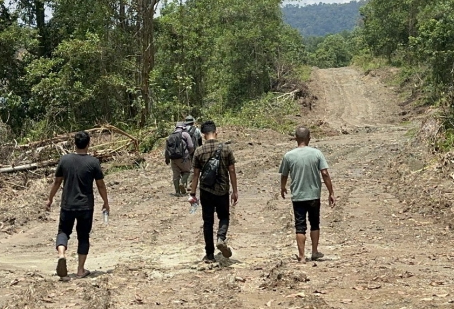 Ratusan Hektare Hutan Lindung Eks Tambang Batu Bara Dijual, Polres Inhu Tetapkan 5 Tersangka