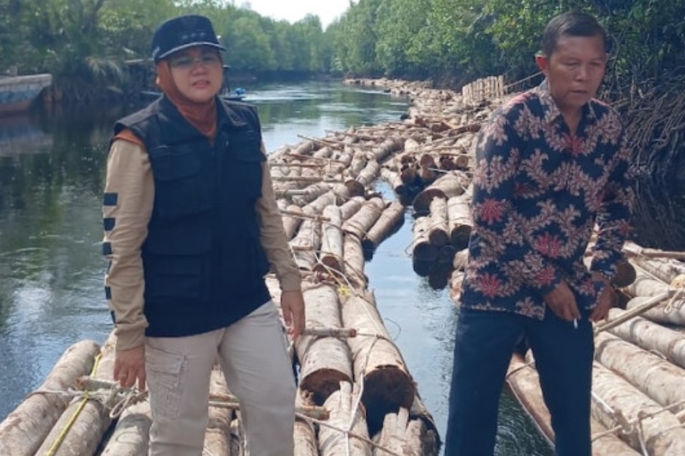 Temukan Ribuan Kayu Diduga Ilegal Terapung di Sungai Rawa, Bupati Afni Sigap Perintahkan Kapolsek Sungai Apit Cari Pemiliknya