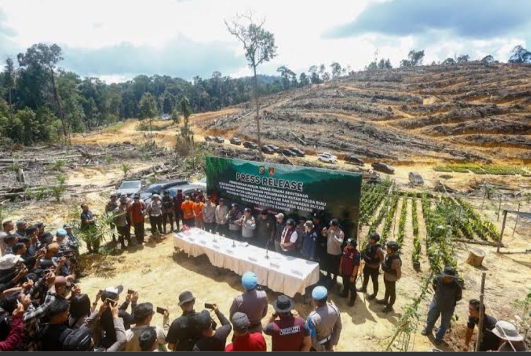 Aktivis Desak Polda Usut Aktor Utama Perusak Hutan Kampar, Bukan Cuma Lapis Bawah