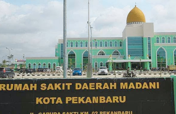 Dugaan Pungli Ratusan Juta Rekrutmen THL RSD Madani: 13 Nama Diperiksa, Kabid dan Kasubag Dicopot