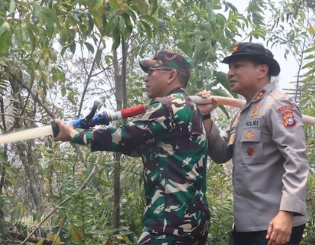 Turun Tangan Padamkan Lahan Terbakar, Kapolda Riau Pastikan Api Padam