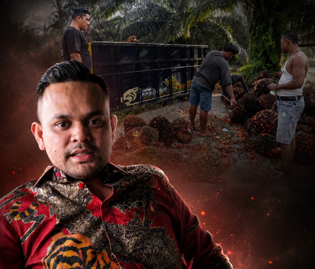 Desakan Polda Riau Tertibkan Peron Sawit Ilegal Berujung Fitnah, Pebriyan Winaldi: Ngakunya Masyarakat Padahal Oligarki Penguasa Kawasan Hutan !