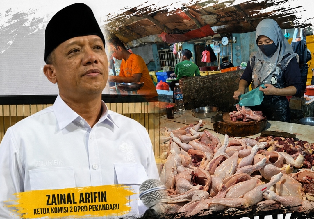 Bukan Hanya Di Siak, Harga Ayam Di Pekanbaru Tembus Rp47 Ribu, DPRD Desak Pemko Investigasi